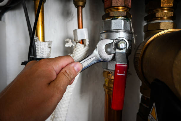 Best Sprinkler Systems  in Lake Geneva, WI